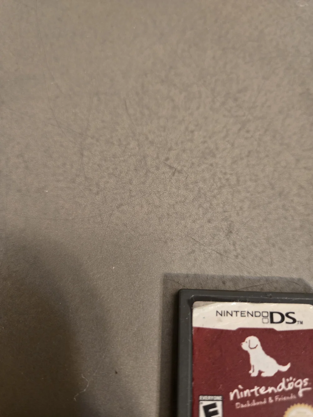 Nintendo DS Nintendogs Dachshund & Friends Video Game